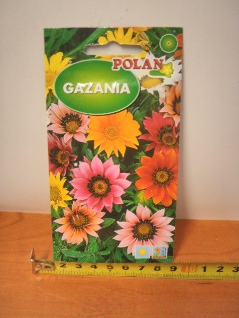 Nasiona GAZANIA PN4078