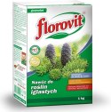 Nawóz do Iglaków 3kg Florovit