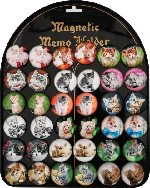 Magnes na tabliczce 36szt koty Magnes na tabliczce 36szt koty