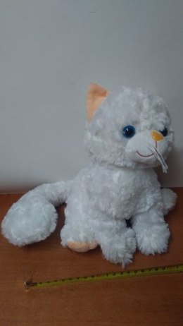 Kot z dźwiękiem K0967