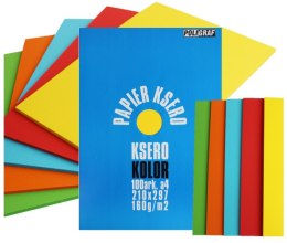 Papier ksero kolor 100arkuszy A4 160G/M2